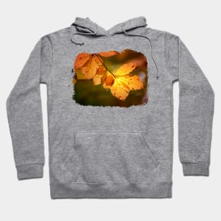 autumn leaves Hoodie